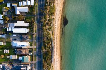 birds view of coast