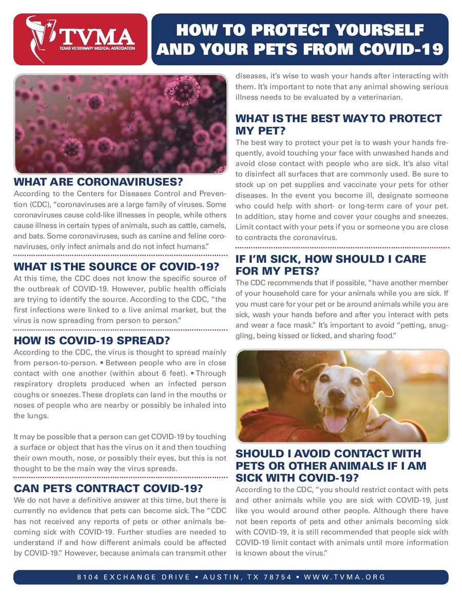 How To Protect Yourself And Your Pets From Covid-19 — Austin, TX — Pet and Bird Clinic How To Protect Yourself And Your Pets From Covid-19 — Austin, TX — Pet and Bird Clinic