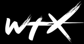 WightTricks Academy Cowes Tricking Isle of Wight Logo