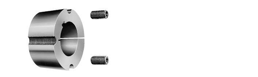Silver taper bush