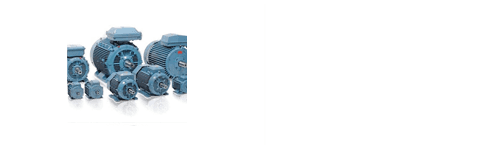 Three phase electric motor