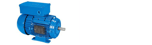 Single phase motor