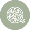 Uma árvore com folhas em um círculo sobre um fundo verde.