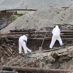 site clearance