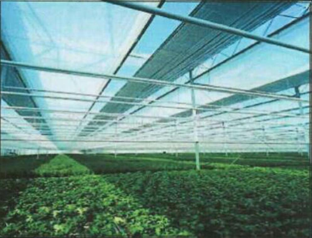 Shade Sails & Nets