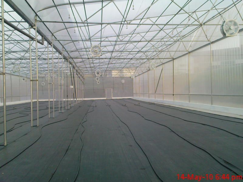 Shade Sails & Nets