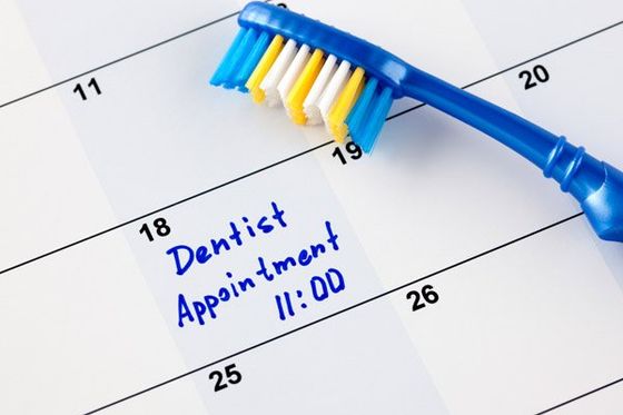 A reminder of someone's dentist appointment near Halls Head