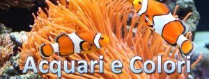http://www.acquariecolori.com/ Acquari E Colori