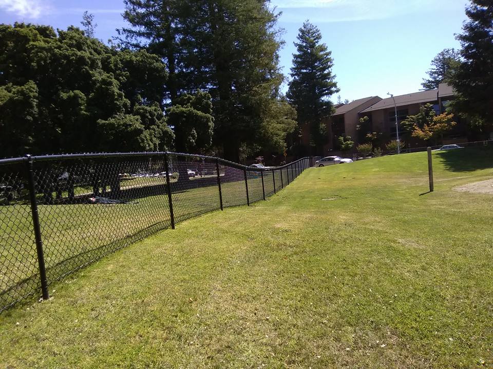 Black chain-link fence curves across a grassy park, trees in the background, on a sunny day.