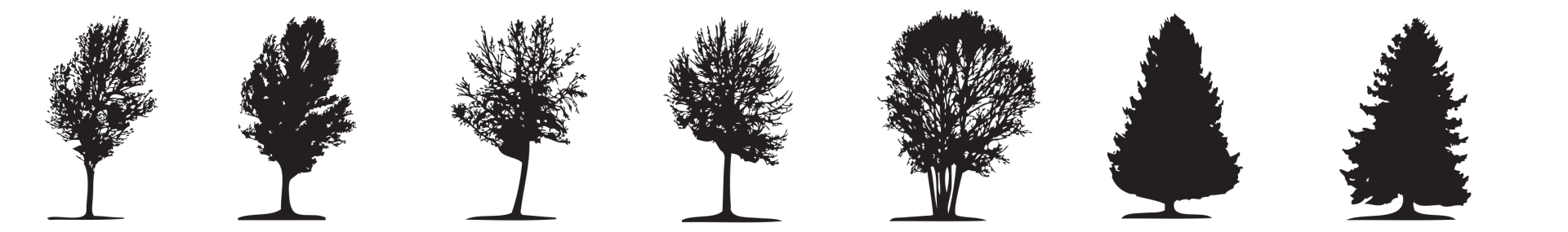 Line of trees