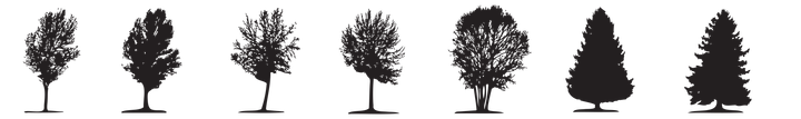 Line of trees