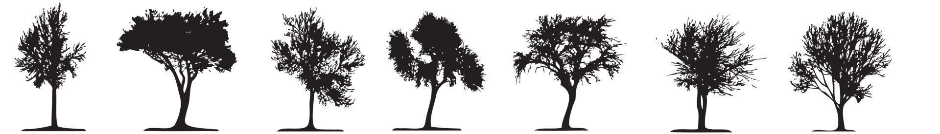 Line of trees