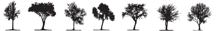 Line of trees