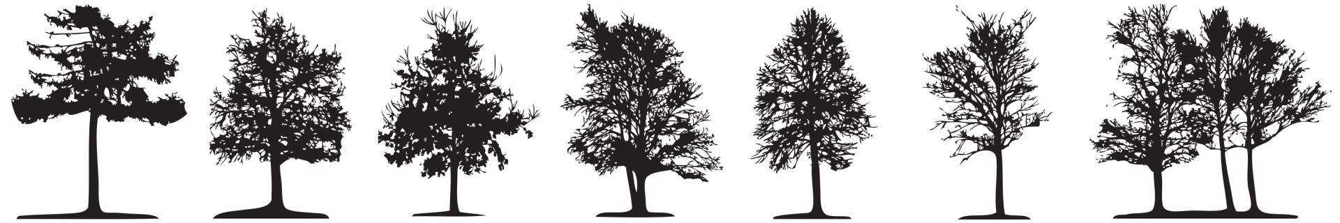 Line of trees