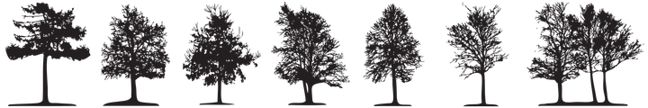 Line of trees