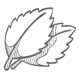 Leaves icon