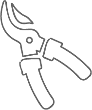 Secateurs icon