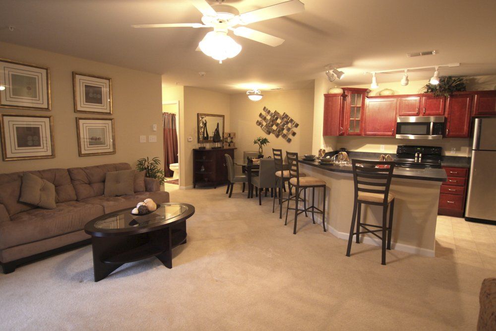 Apartment Amenities