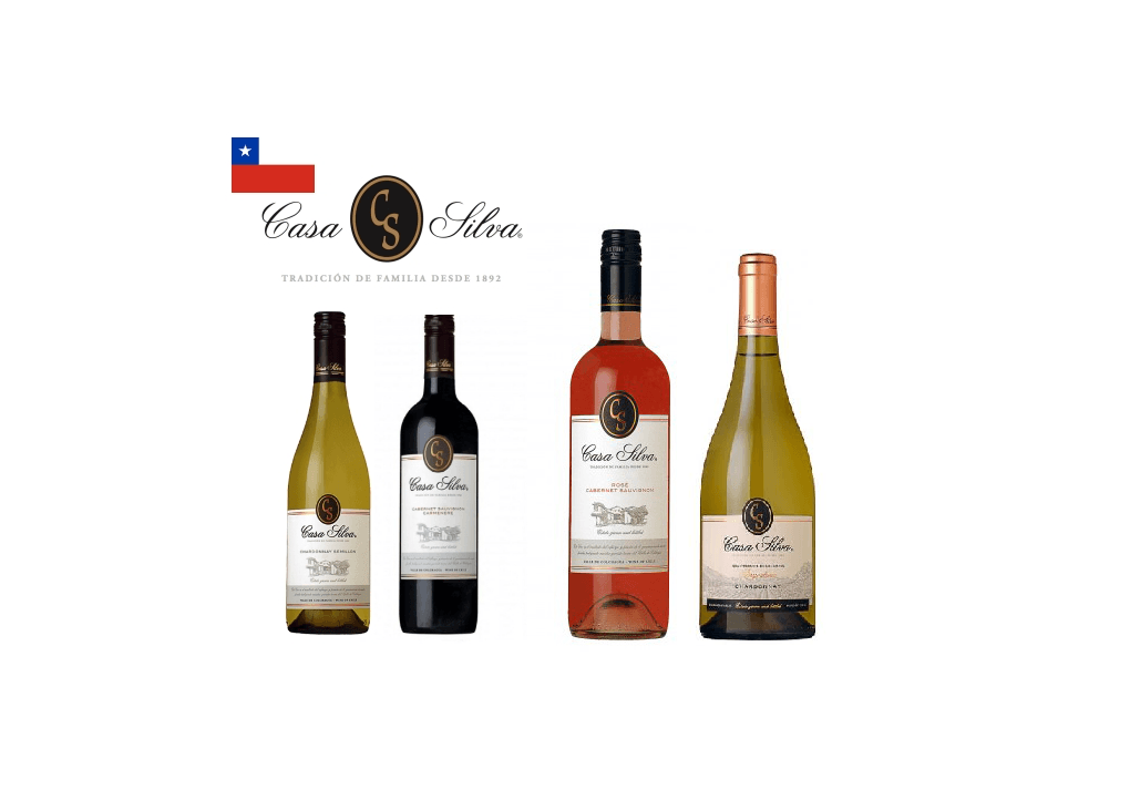 Casa Silva Wijnen Chili winemaker of the year