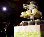 cake spot light ma nh