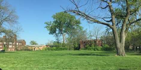 View of Backyard