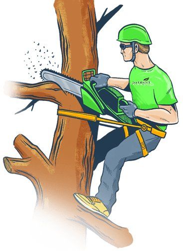 A man is cutting a tree branch with a chainsaw.