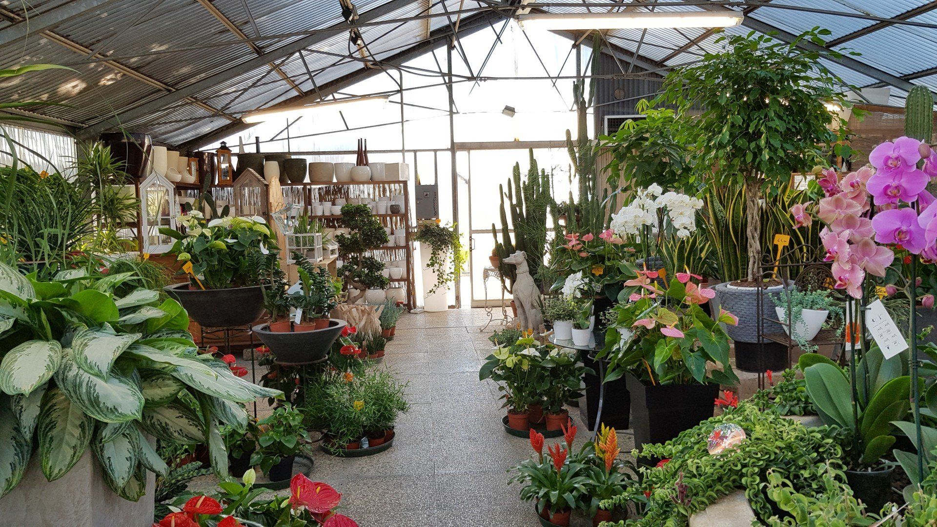 vivaio interno