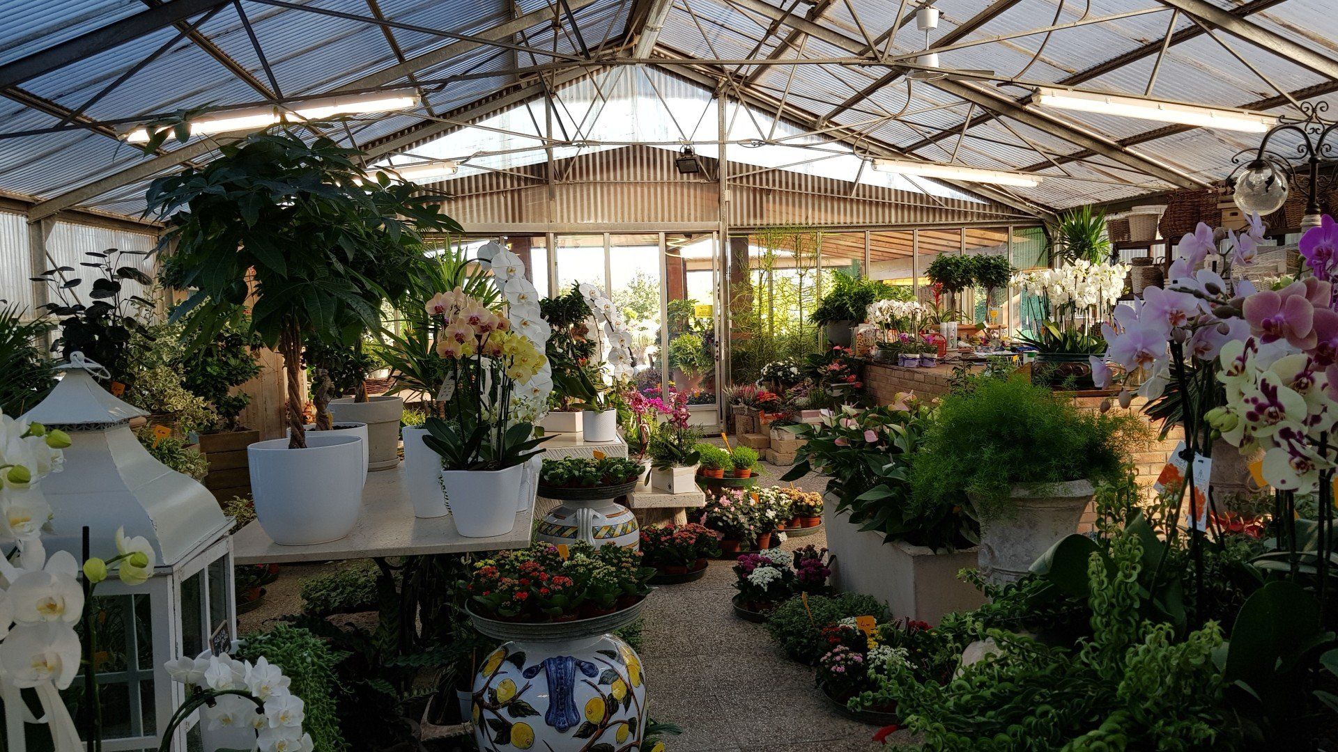 interno vivaio