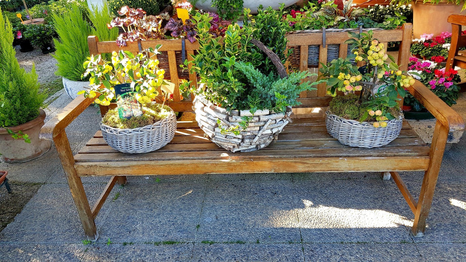 panchina in legno con vasi e piante