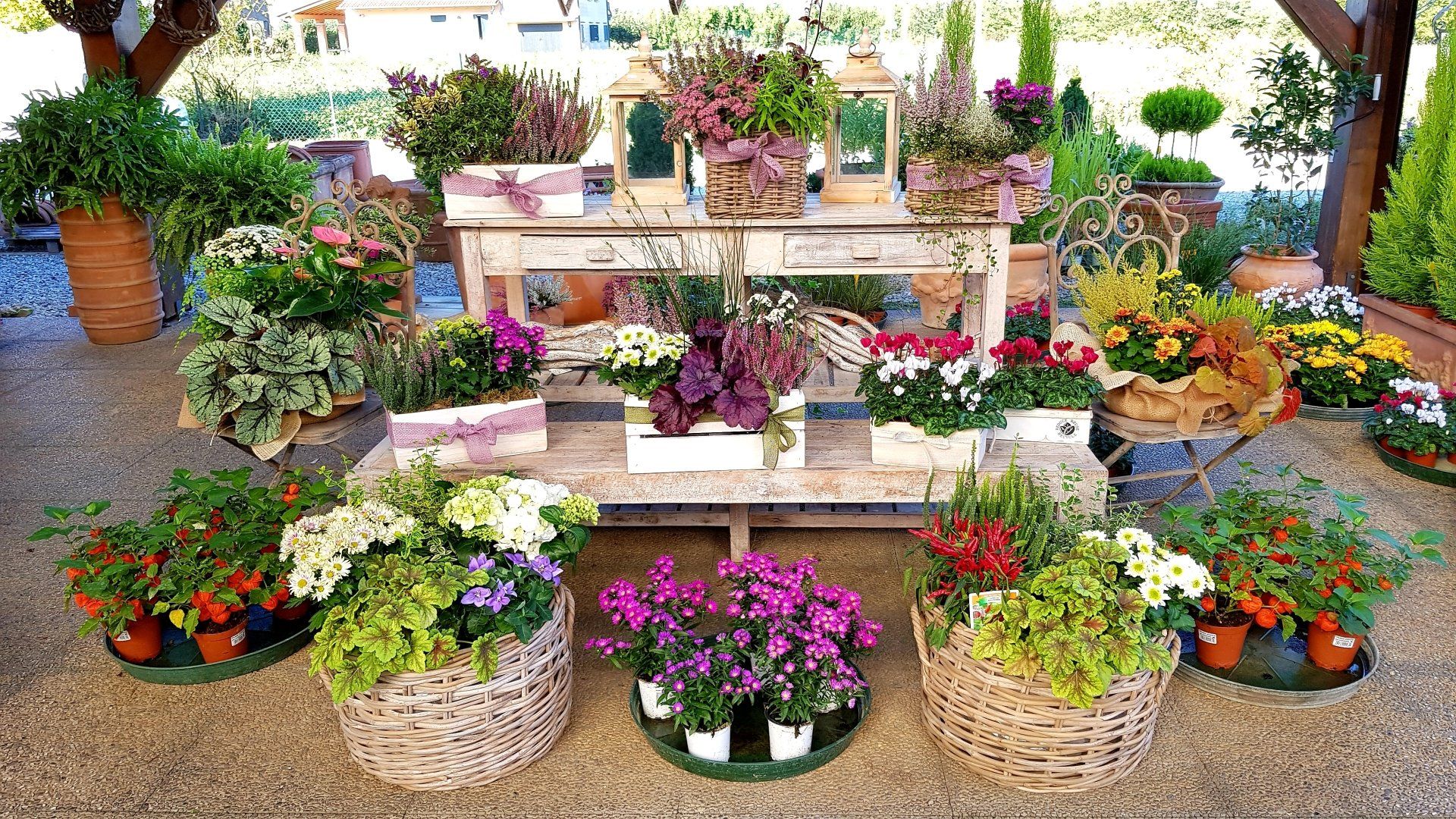 allestimento floreale vivaio