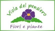 viola-del-pensiero-logo