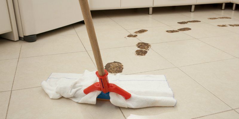 Mop Cleaning Dirty Foot Steps — Greenville, SC — American Waste Septic Mop Cleaning Dirty Foot Steps — Greenville, SC — American Waste Septic