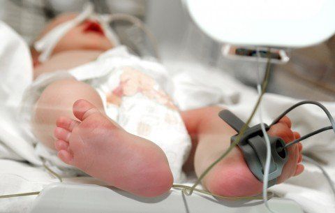 Fetal & Neonatal Test Equipment- Datrend