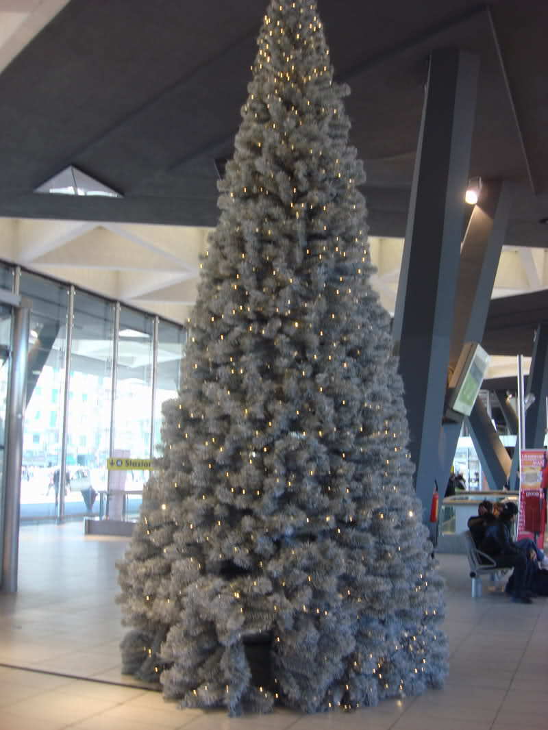 Albero di Natale ecologico gigante presso Stazione di Napoli
