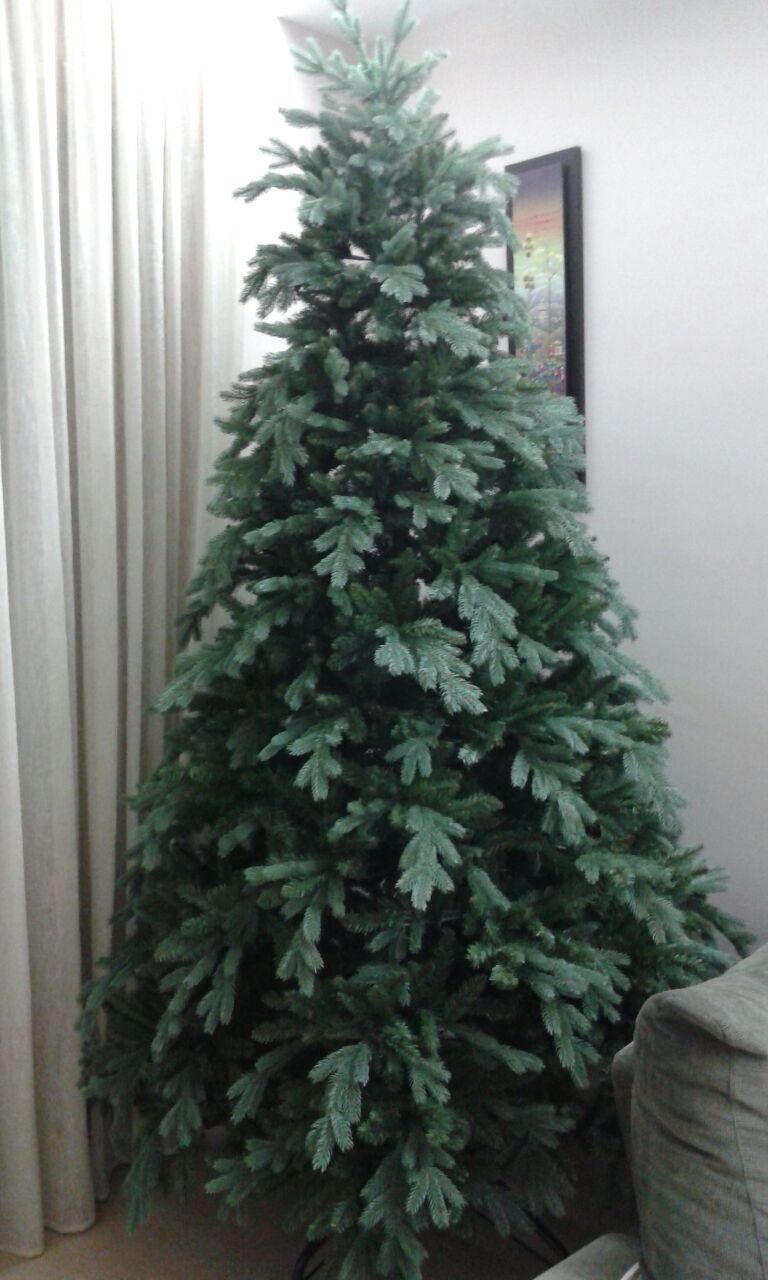 Abete ecologico