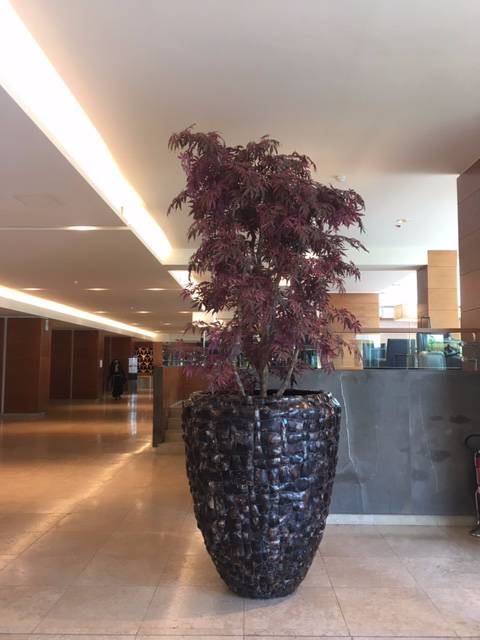 Vaso con pianta artificiale in hall albergo