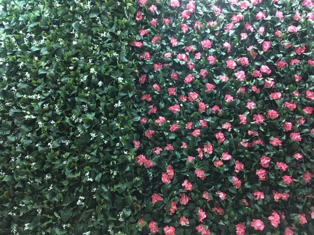 rampicante parete con fiori