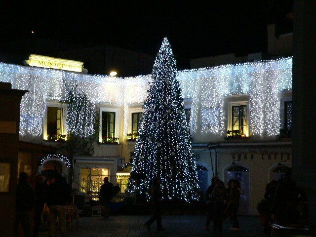 Albero di Natale gigante ecologico con luminarie
