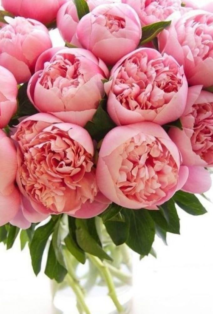 Bouquet sposa