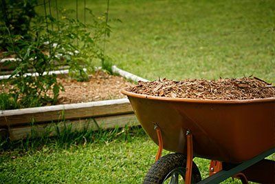 topsoil