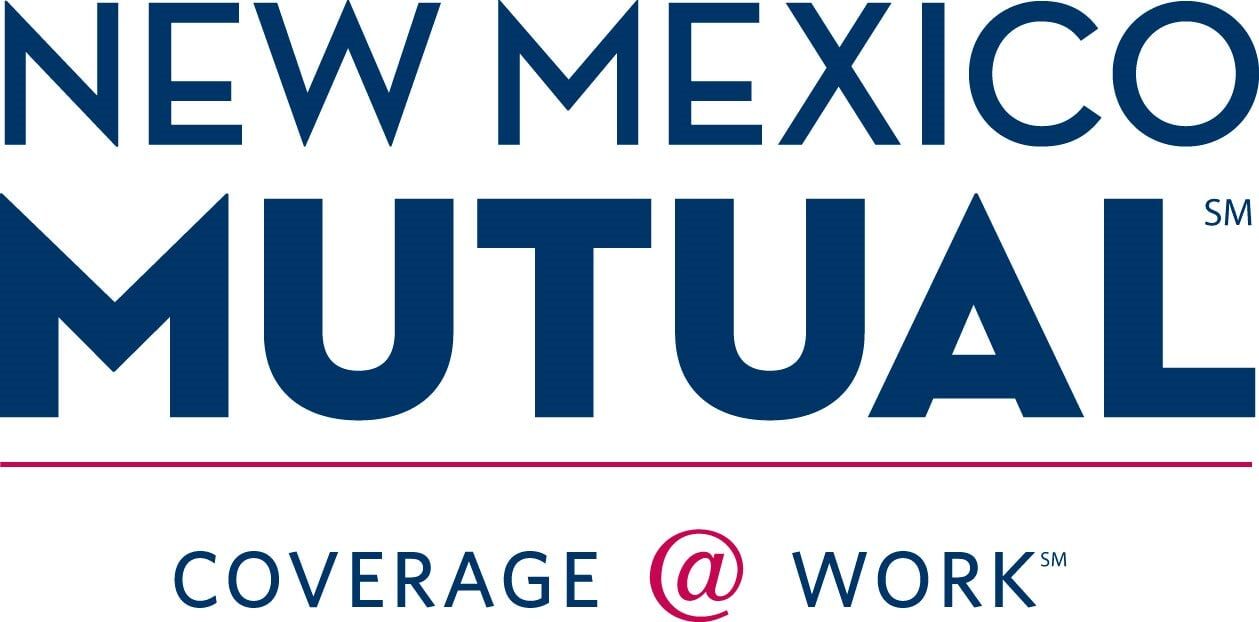 NMM Color Logo For Vendors — Insurance Consultants in Las Cruces, MN
