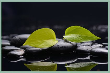 Acupuncture Campbell River Acupressure Tony Kim lower back pain