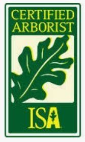 ISA