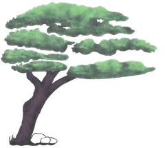 declueandsonstreecare logo icon
