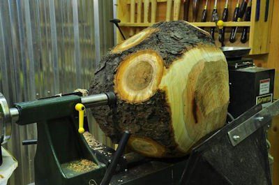 Large burl on lathe