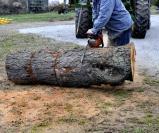 cutting log with chainsaw.