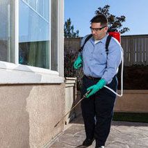Commercial Pest Control in Tonawanda, NY