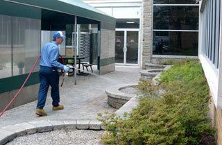 Commercial Pest Control Services for Tonawanda, Cheektowaga, Amherst & Buffalo, NY