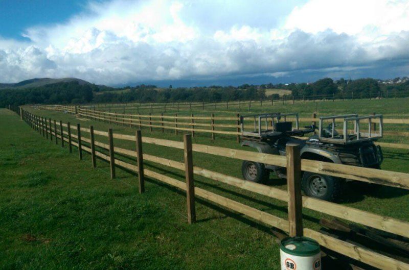 horse fencing