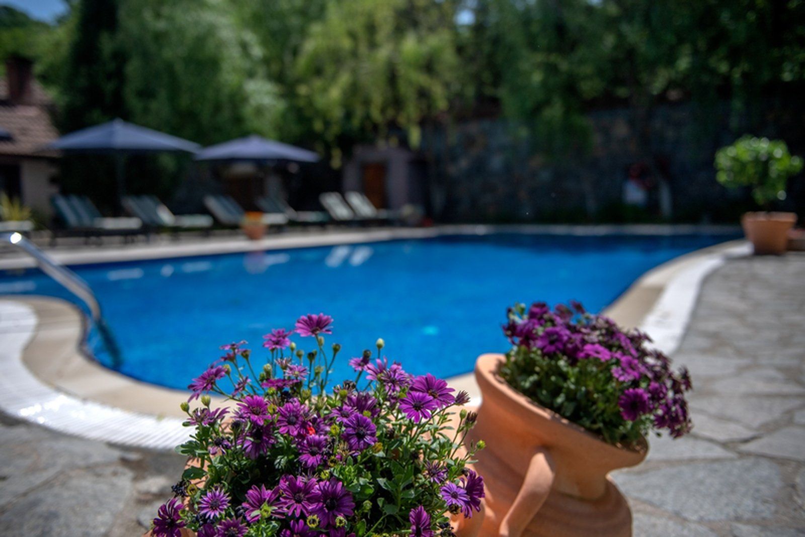 Ağva'nın en iyi Romantik ve Toplantı Oteli